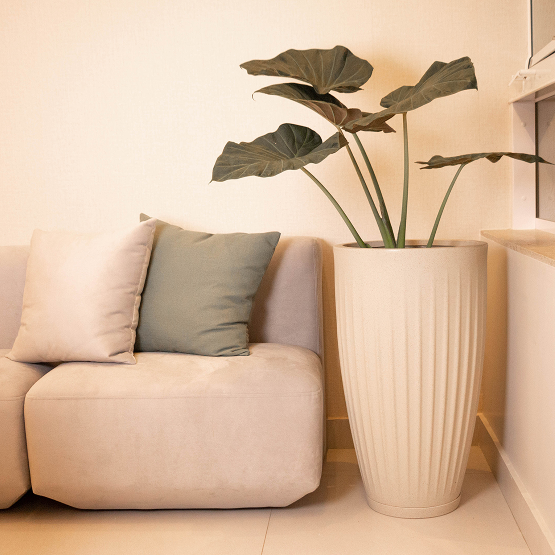 Vaso de Planta Extra Grande de Plástico com Prato Areia Florence Geolia