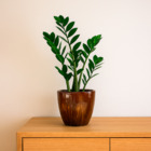 Vaso de Planta Grande Cerâmica Moderno 31x30 Pérola