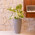 Vaso de Planta Grande de Plástico 53x30cm Cinza Florence Geolia