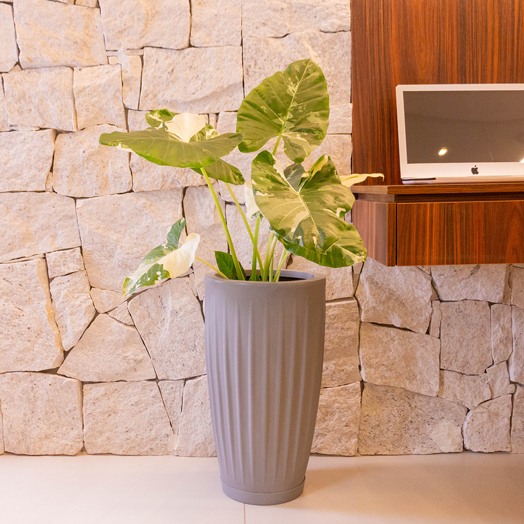 Vaso de Planta Grande de Plástico com Prato Cinza Florence Geolia