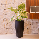 Vaso de Planta Grande de Plástico 53x30cm Preto Florence Geolia