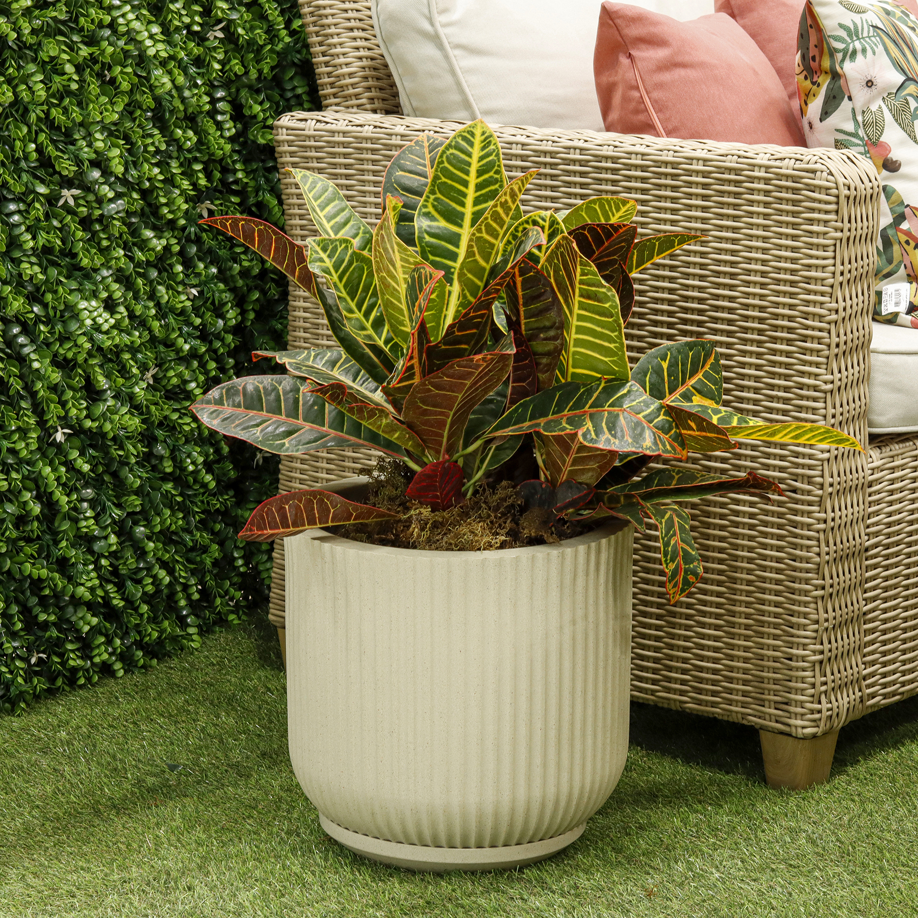 Vaso de Planta Grande em Plástico com Prato Areia Naterial