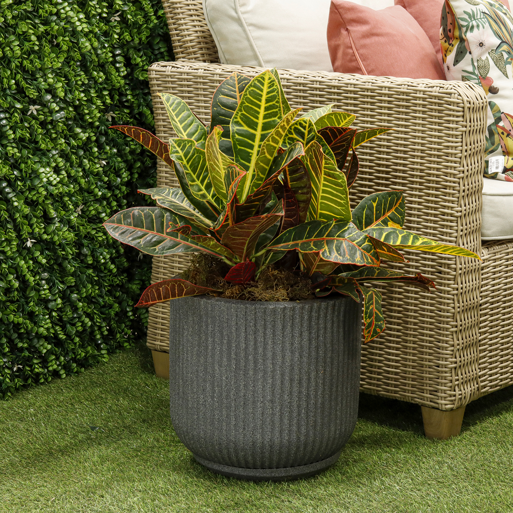 Vaso de Planta Grande em Plástico com Prato Preto Mármore Naterial