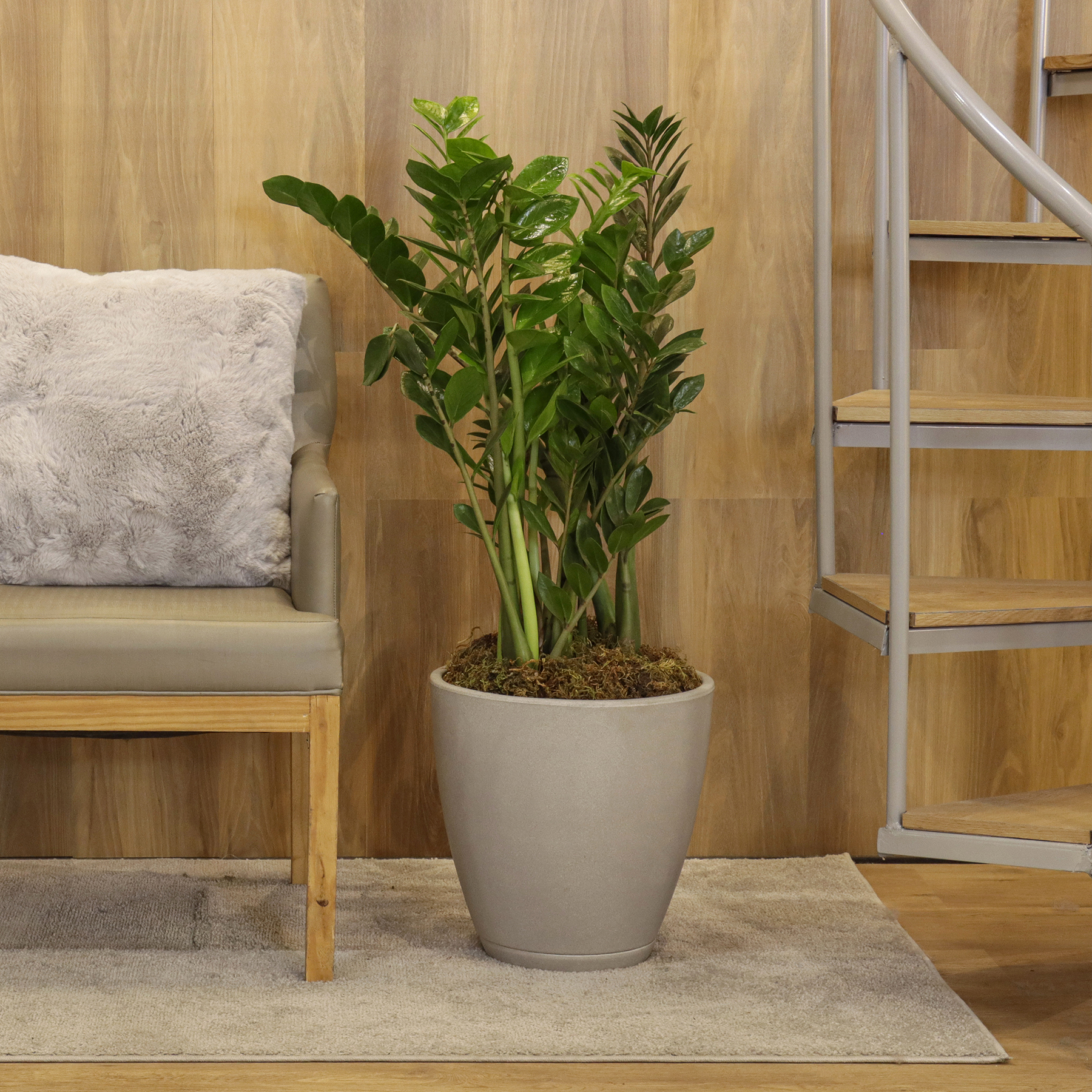 Vaso de Planta com Prato Samba da Naterial