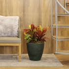 Vaso de Planta Grande em Plástico 35x35cm com Prato Verde Samba Naterial