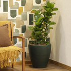 Vaso de Planta Grande em Plástico 44x44cm com Prato Verde Samba Naterial