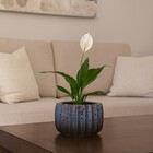 Vaso de Planta Medio Cerâmica 16x27cm Redondo Vietinamita Azul com Marrom CMR