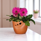 Vaso de Planta Médio Cerâmica 17x18cm Cerâmica Vermelha Orgânico Boa Nova