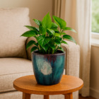 Vaso de Planta Médio Cerâmica Moderno 25x14 Verde Musgo