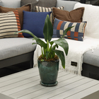 Vaso de Planta Médio em Cerâmica 26x21cm com Prato Embutido Verde Livia Ts Brasil