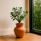 Vaso de Planta Médio Cerâmica Moderno 30x16 Terracota