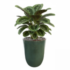 Vaso de Planta Médio em Cerâmica 52x39 Verde Americano Bella Art Vetrificados