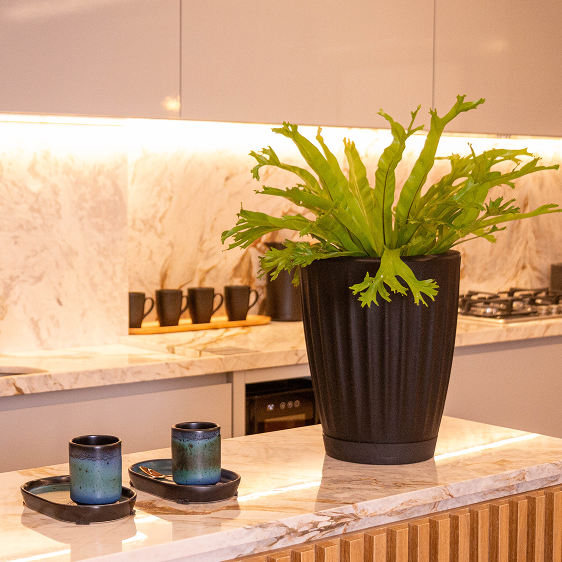 Vaso de Planta Médio de Plástico com Prato Preto Florence Geolia