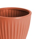 Vaso de Planta Mdio de Plstico 30x38cm com Prato Terracota Geolia