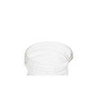 Vaso de Planta Médio de Vidro 16x15cm Cristal Mart Collection