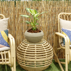 Vaso de Planta Médio em Plástico 16x30cm Bege Arruda Naterial