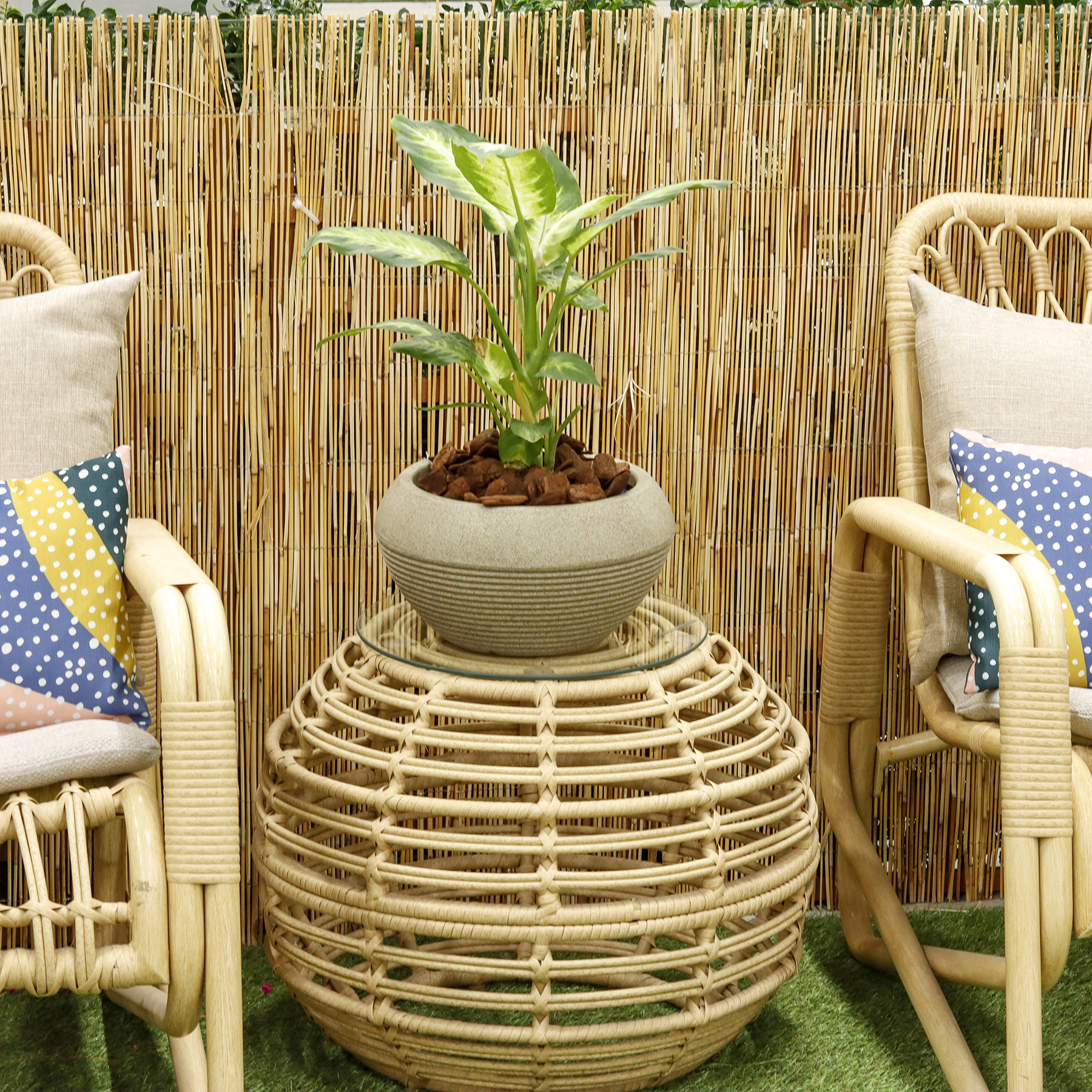 Vaso de Planta Médio em Plástico Bege Arruda Naterial