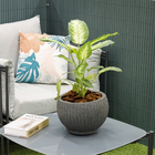 Vaso de Planta Médio em Plástico 17x23cm com Prato Preto Mármore Naterial