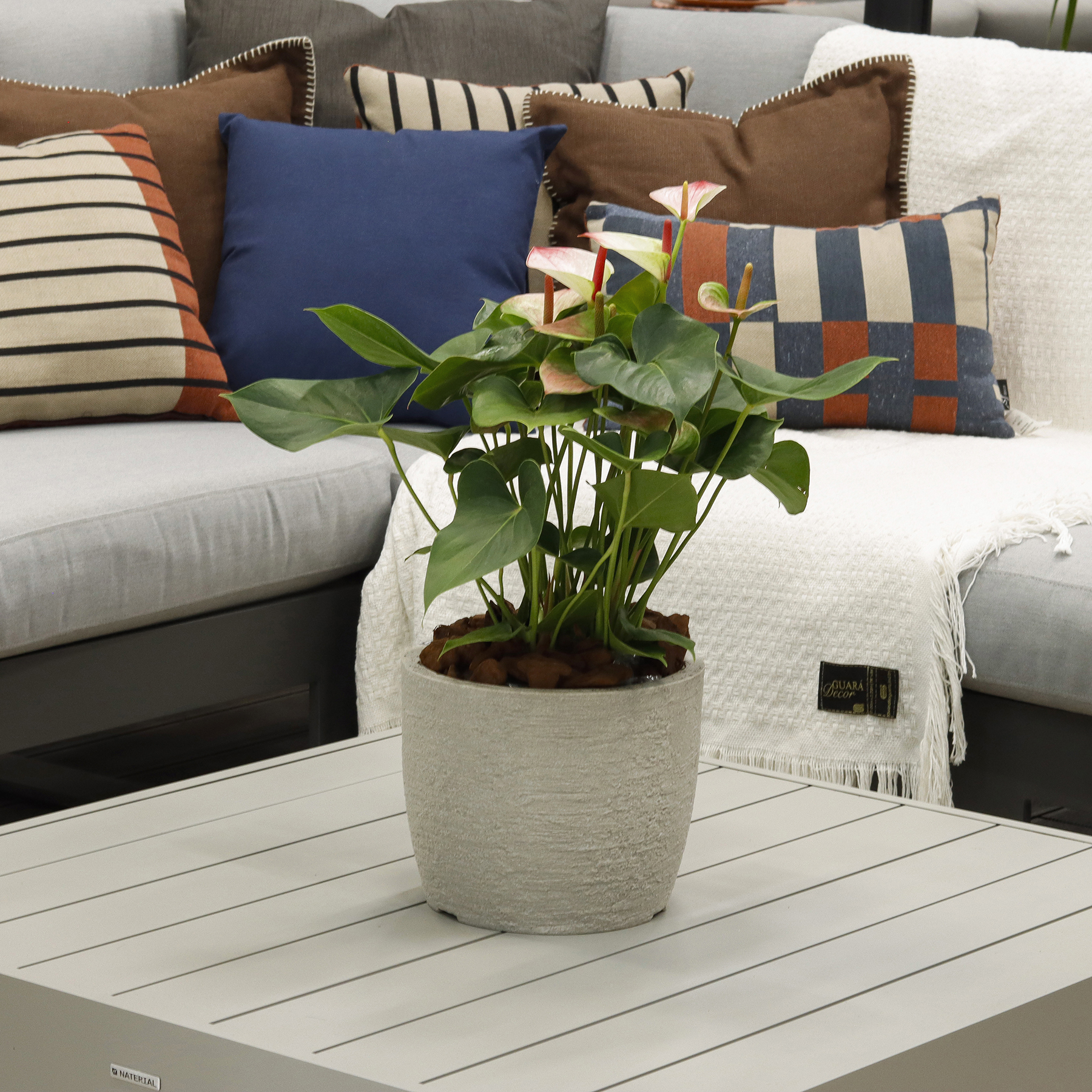 Vaso de Planta Médio em Plástico Europa Japi