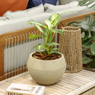 Vaso de Planta Médio em Plástico 20x28cm Bege Arruda Naterial