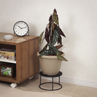 Vaso de Planta Médio em Plástico 23x30cm Cinza Siena Okla