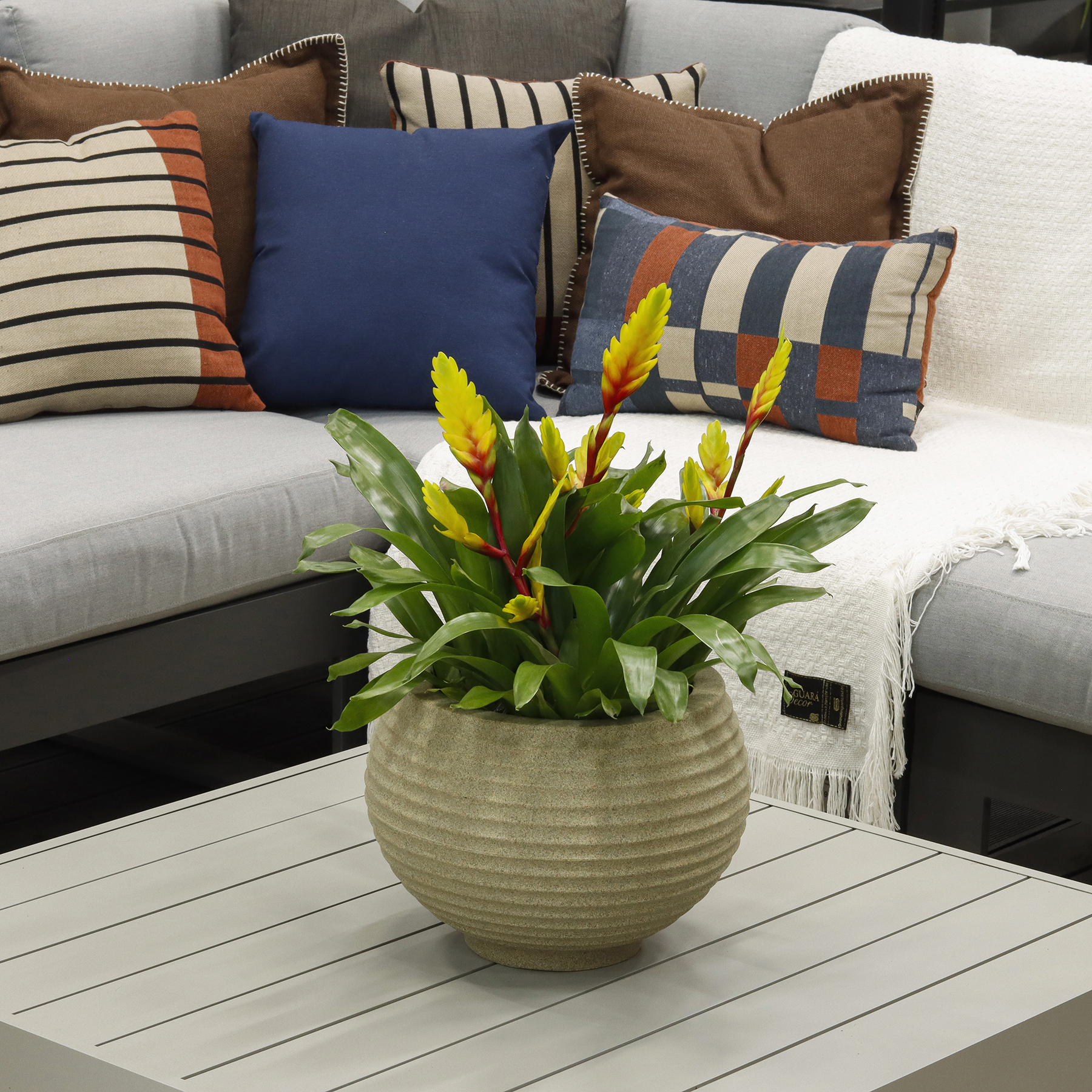 Vaso de Planta Médio em Plástico Areia Bromélia Naterial