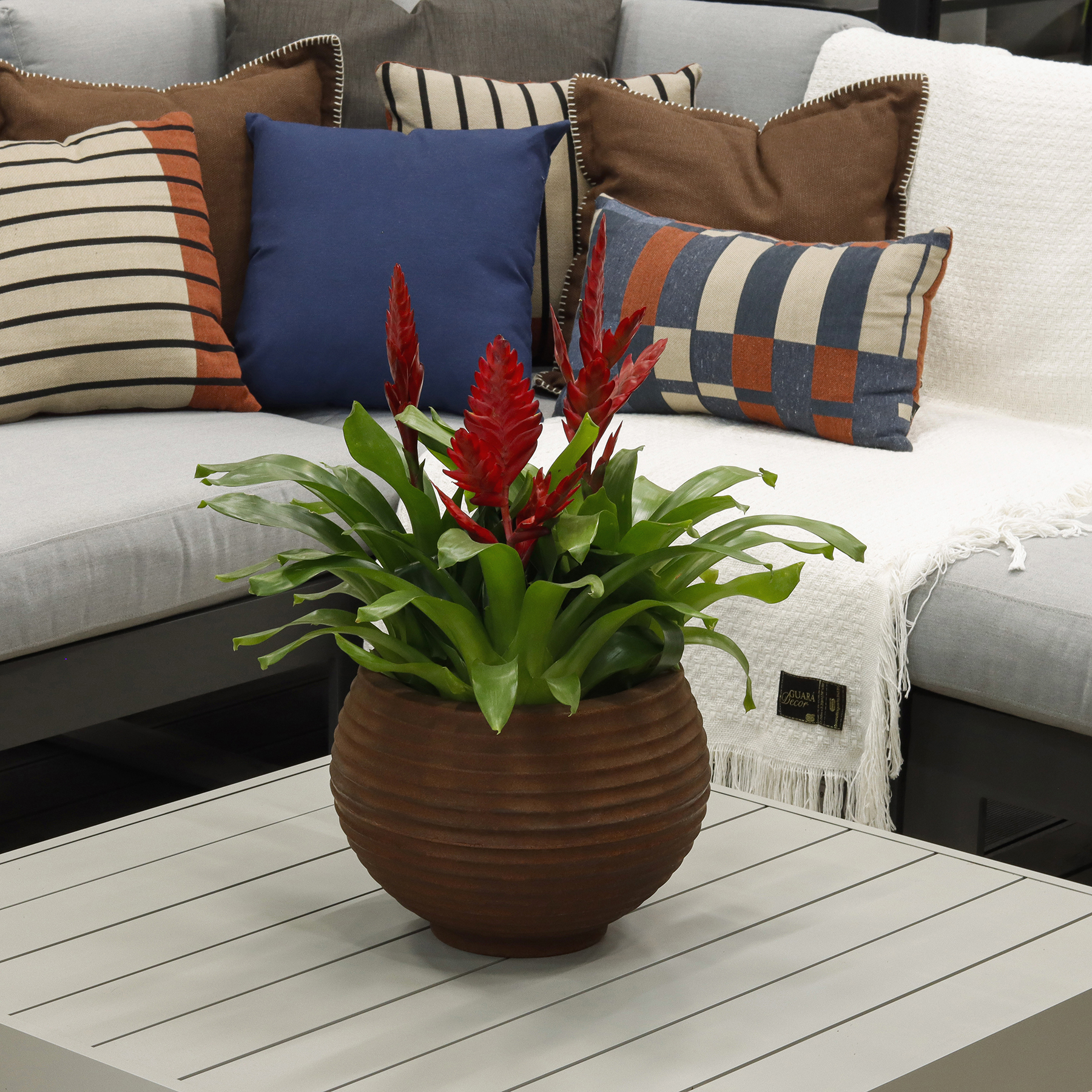 Vaso de Planta Médio em Plástico Rusty Bromélia Naterial