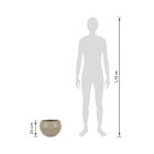 Vaso de Planta Médio em Plástico 24x34cm Bege Arruda Naterial