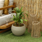 Vaso de Planta Médio em Plástico 24x34cm Bege Arruda Naterial