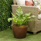 Vaso de Planta Médio em Plástico 27x34cm Rusty Malta Naterial