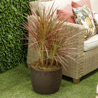 Vaso de Planta Médio em Plástico 28x33cm Café Europa Japi