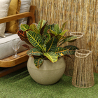 Vaso de Planta Médio em Plástico 28x37cm Bege Arruda Naterial