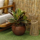 Vaso de Planta Médio em Plástico 28x37cm Marrom Arruda Naterial