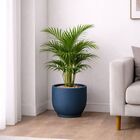 Vaso de Planta Médio de Plástico 29x35 com Prato Azul Mirage