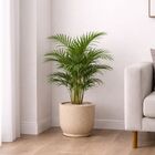 Vaso de Planta Médio de Plástico 29x35 com Prato Bege Mirage