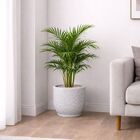 Vaso de Planta Médio de Plástico 29x35 com Prato Granito Mirage