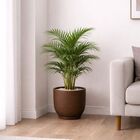 Vaso de Planta Médio de Plástico 29x35 com Prato Marrom Mirage