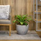 Vaso de Planta Médio em Plástico 30x40cm Cimento Verona Vasart