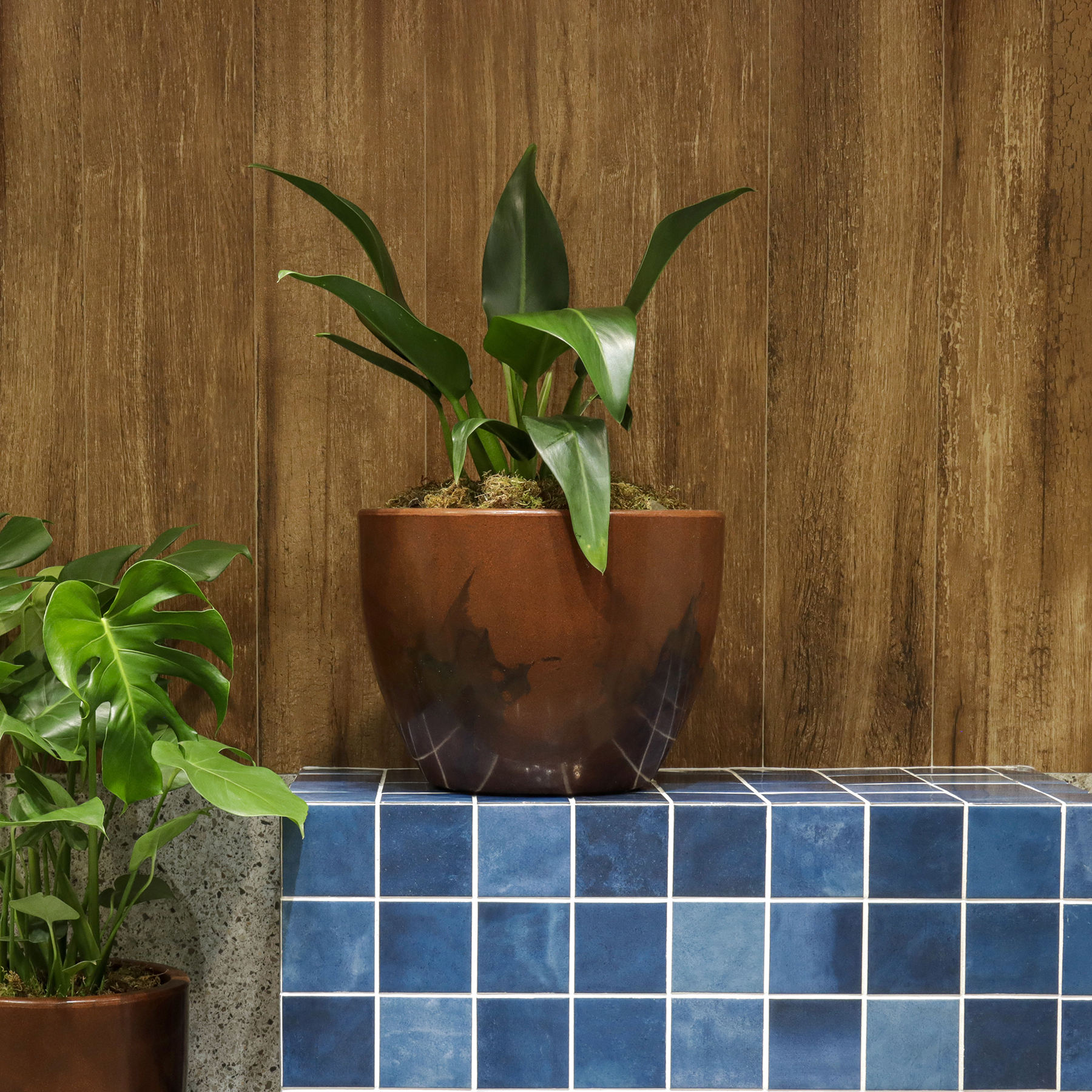 Kit Vasos de Planta em Plástico Verona Vasart: Ideal para plantio