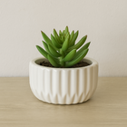 Vaso de Planta Pequeno Cerâmica 10,5x21,5cm Redondo Branco CMR