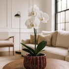 Vaso de Planta Pequeno Cerâmica 13,5x22cm Redondo Marrom e Vermelho CMR