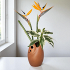 Vaso de Planta Pequeno Cerâmica 23x15cm Cerâmica Vermelha Orgânico Boa Nova