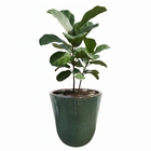 Vaso de Planta Pequeno em Cerâmica 38x34 Verde Americano Bella Art Vetrificados