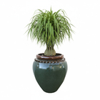 Vaso de Planta Pequeno em Cerâmica 47x37 Verde Egito Bella Art Vetrificados