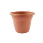 Vaso de Planta Pequeno em Plastico 8x10cm Marrom Vicenza Desli