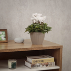 Vaso de Planta Pequeno em Plástico 12,5x15cm Cinza Plissado Evo Design