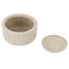 Vaso de Planta Pequeno em Plástico 13x21cm com Prato Areia Naterial