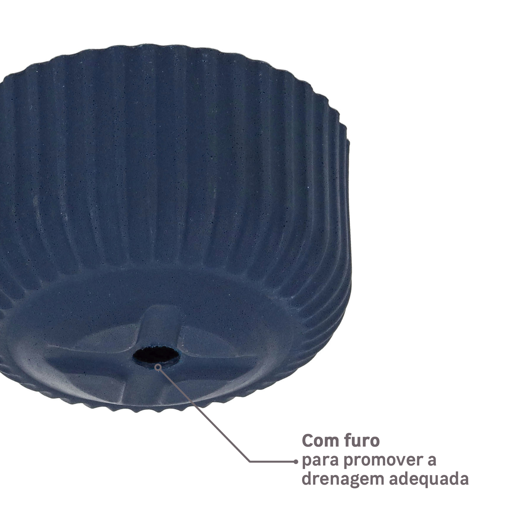 Vaso de Planta Macaúba Flora da Naterial