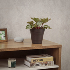 Vaso de Planta Pequeno em Plástico 15x15cm Café Veneza West Garden