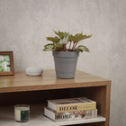 Vaso de Planta Pequeno em Plástico 15x15cm Cinza Veneza West Garden